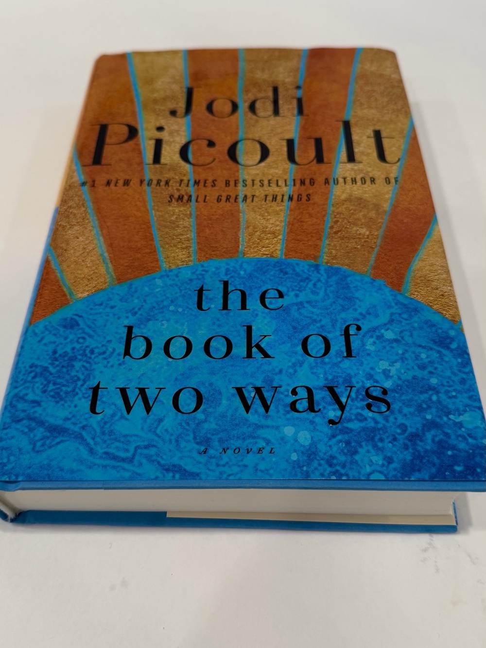 Ecco Blue and Gold Hardcover Decorative Novel
